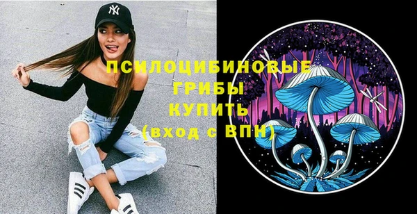 ешки Куйбышев