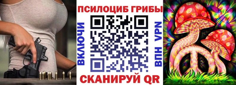 Купить где  Новоульяновск  Псилоцибиновые грибы Psilocybe 